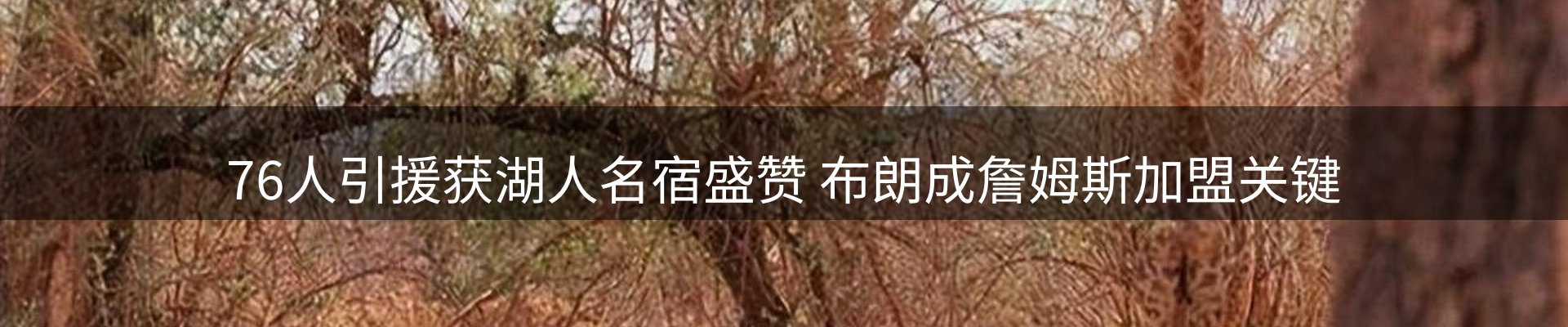 内页banner